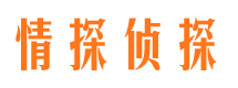 城东出轨调查